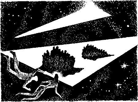 Фата-Моргана 4 (Фантастические рассказы и повести) - img_15.png