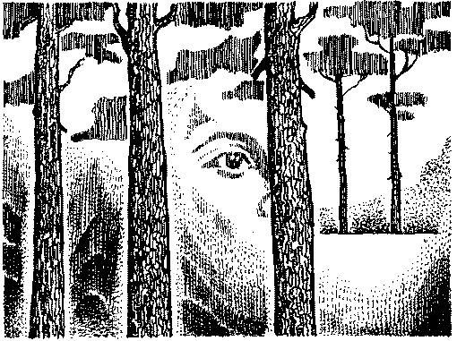 Фата-Моргана 5 (Фантастические рассказы и повести) - img_30.png