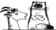 Топало - _69.png