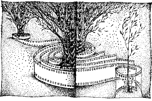 Остров пурпурной ящерицы - i_006.png