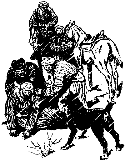 Неугомонный Носир - i_021.png