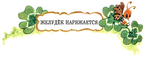 Желудёк - i_013.jpg