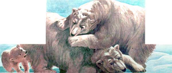 Фрам — полярный медведь - i_075.jpg