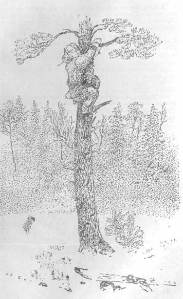 Повести и рассказы - i_063.jpg