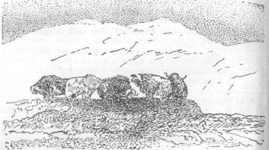 Повести и рассказы - i_066.jpg