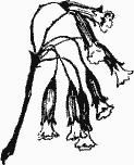 Золотые ключики - i_013.png