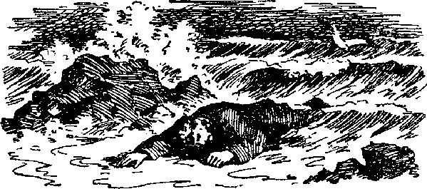 Шхуна «Колумб»(ил. А.И. Титовского) - i_005.png