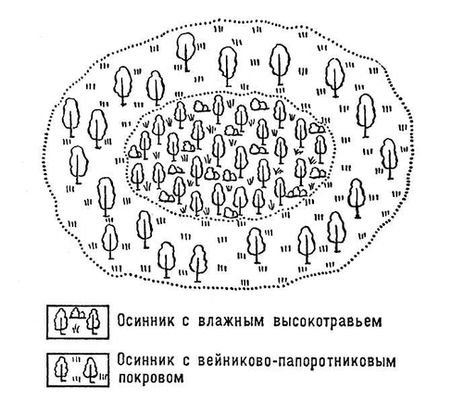 Большая Советская Энциклопедия (КО) - i009-001-224429680.jpg