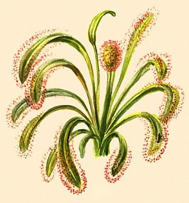 Большая Советская Энциклопедия (НА) - i010-001-284667268.jpg