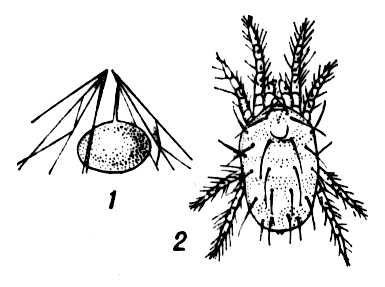 Большая Советская Энциклопедия (ПА) - i010-001-276531047.jpg