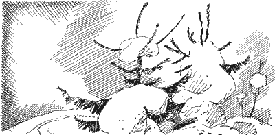 Лесной рассказ - Sob23100.png