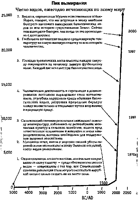 Потреблятство. Болезнь, угрожающая миру - i_017.png