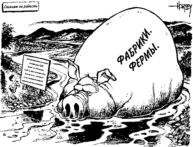 Потреблятство. Болезнь, угрожающая миру - i_018.png