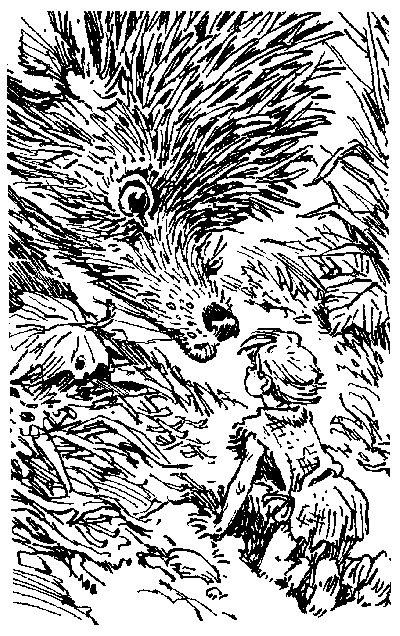 Война с лилипутами (с иллюстрациями) - i_004.png