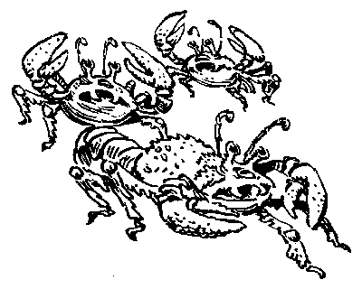 Конец Атлантиды (с иллюстрациями) - i_025.png