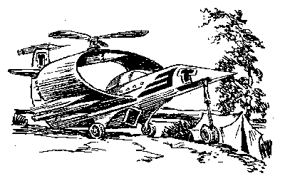 Гай-до (с иллюстрациями) - i_028.png