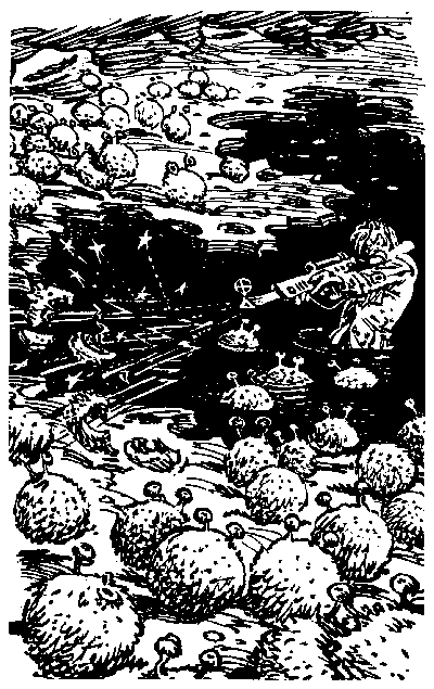 Гай-до (с иллюстрациями) - i_039.png