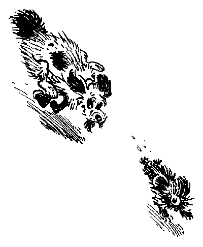 День рождения Алисы (с иллюстрациями) - i_013.png
