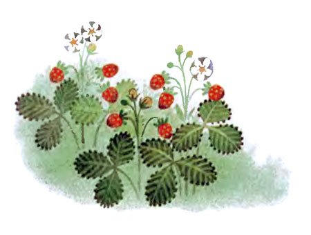 Крот в городе - i_002.jpg