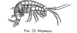 Жизнь и ловля пресноводных рыб. Часть 1 - ris023.jpg