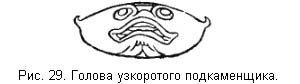 Жизнь и ловля пресноводных рыб. Часть 1 - ris029.jpg