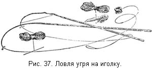 Жизнь и ловля пресноводных рыб. Часть 1 - ris037.jpg