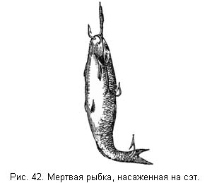 Жизнь и ловля пресноводных рыб. Часть 1 - ris042.jpg