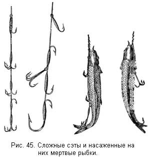Жизнь и ловля пресноводных рыб. Часть 1 - ris045.jpg