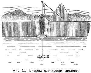 Жизнь и ловля пресноводных рыб. Часть 1 - ris053.jpg
