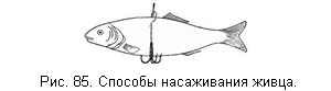 Жизнь и ловля пресноводных рыб. Часть 1 - ris085.jpg
