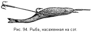 Жизнь и ловля пресноводных рыб. Часть 1 - ris094.jpg