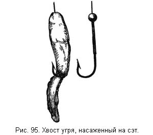 Жизнь и ловля пресноводных рыб. Часть 1 - ris095.jpg