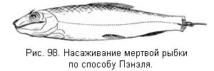 Жизнь и ловля пресноводных рыб. Часть 1 - ris098.jpg