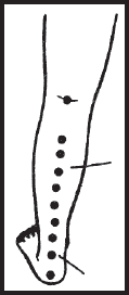 Массаж для всей семьи - i_115.png