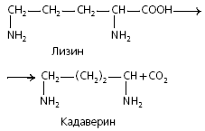 Микробиология: словарь терминов - i_004.png