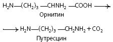 Микробиология: словарь терминов - i_005.png