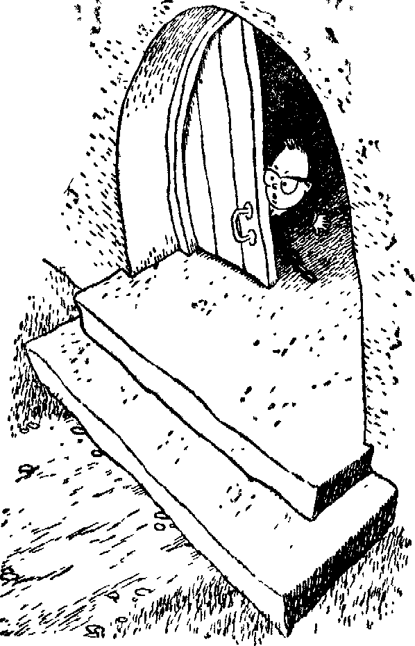 Незнайка на Луне (ил. Г.Валька ч-б) - doc2fb_image_03000013.png