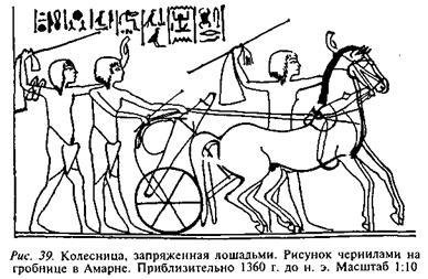 Египтяне. Великие строители пирамид - image44.jpg
