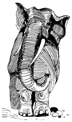 Энциклопедия животных - i_002.png