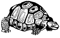 Энциклопедия животных - i_012.png