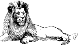 Энциклопедия животных - i_016.png