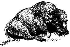 Энциклопедия животных - i_026.png