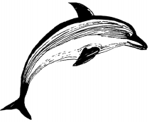 Энциклопедия животных - i_033.png