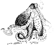 Энциклопедия животных - i_036.png