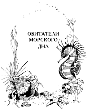 Энциклопедия животных - i_039.png