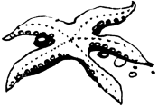 Энциклопедия животных - i_040.png
