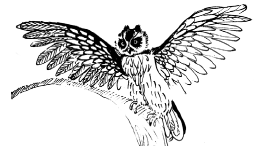 Энциклопедия животных - i_054.png
