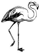 Энциклопедия животных - i_056.png