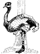 Энциклопедия животных - i_058.png