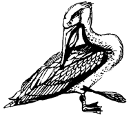Энциклопедия животных - i_059.png